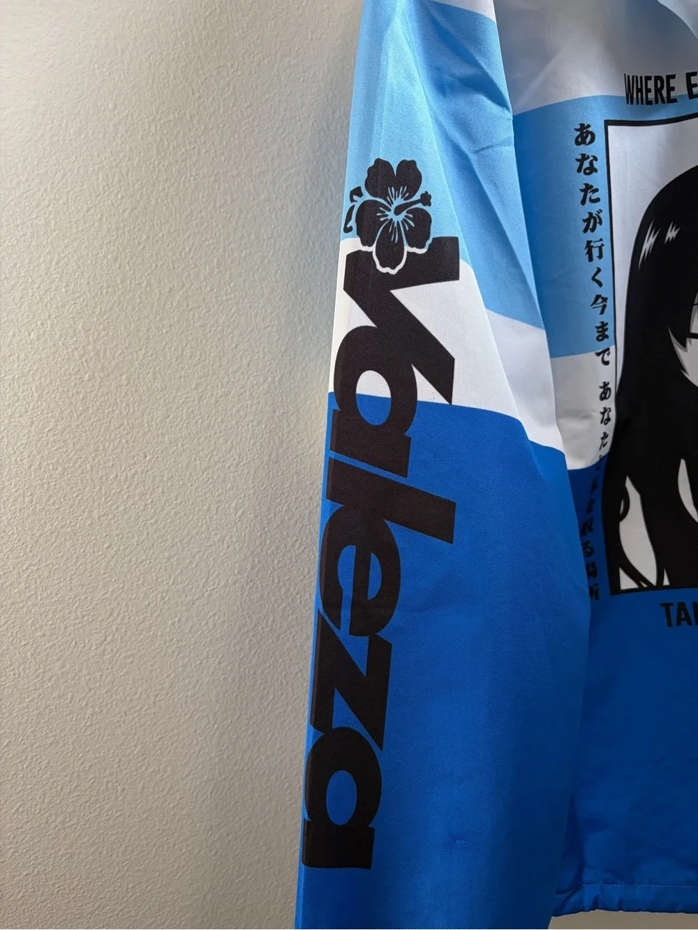 Rare Valeza Anime Style Gradient Hooded Windbreaker Jacket